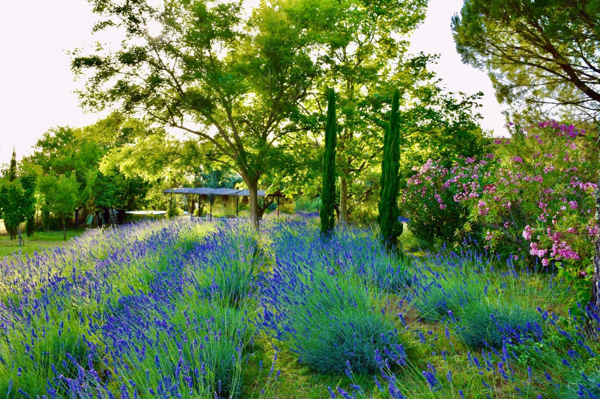Bastide Saint-Didier Saint Didier  Exteriér fotografie